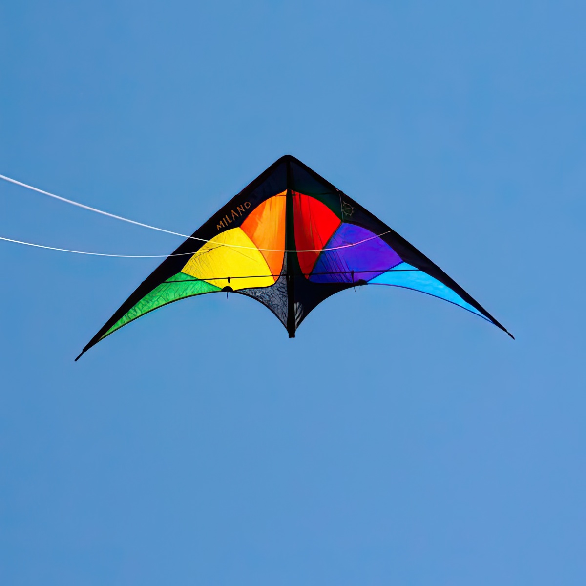 Elliot Milano - Elliot Milano - Zweileiner-Lenkdrachen/Stabdrachen-/bilder/big/1010534_2.jpg