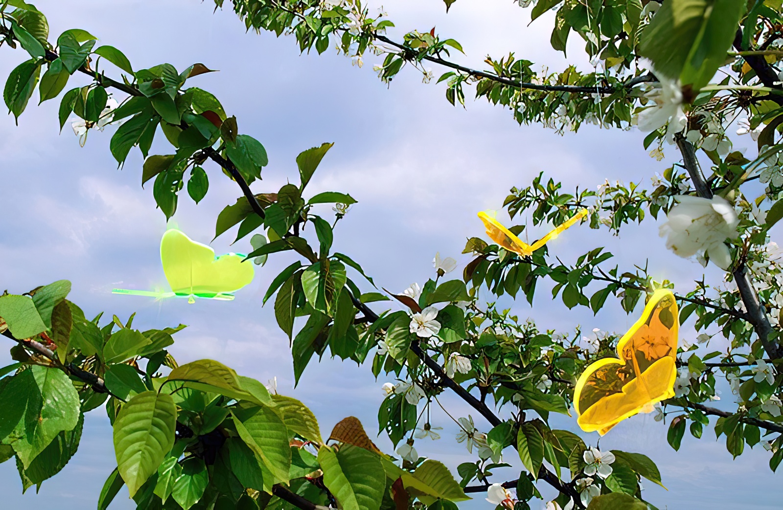 Elliot Lichtzauber - Sonnenfänger 1019431  Schmetterling groß 20 cm-/bilder/big/1019431_3.jpg