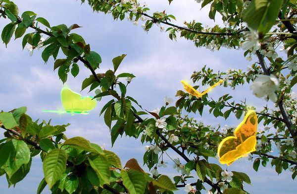 Elliot Lichtzauber - Sonnenfänger Schmetterling klein 10 cm gebogen-/bilder/big/1019443_3.jpg