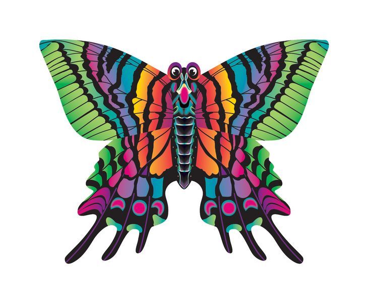 X-Kites MidiKites Schmetterling - Einleiner-Drachen/Kinderdrachen-/bilder/big/2016_MidiKite_Butterfly-Green_8-43258-82151-1.jpg