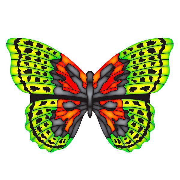 10 Stück - X-Kites Mini Mylar Kites Schmetterling - Einleiner-Drachen/Kinderdrachen (1-Leiner) rtf (flugfertig) 10 cm x 10 cm grün