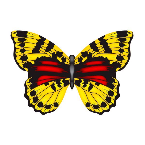 5 Stück - X-Kites Mini Mylar Kites Schmetterling - Einleiner-Drachen/Kinderdrachen (1-Leiner) rtf (flugfertig) 10 cm x 10 cm gelb