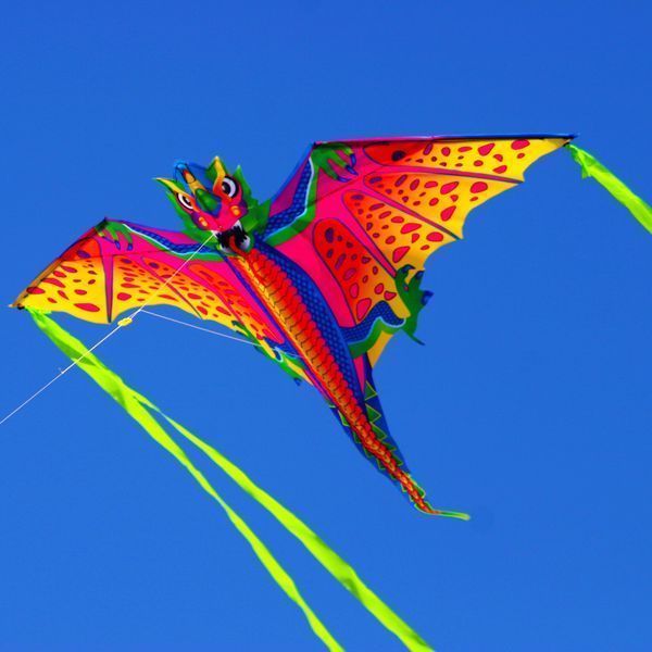 X-Kites Mini Nylon Kites Drachen - Einleiner-Drachen/Kinderdrachen-/bilder/big/2180319_1.jpg