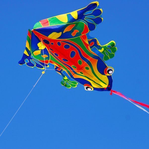 X-Kites Mini Nylon Kites Frosch - Einleiner-Drachen/Kinderdrachen-/bilder/big/2180321_1.jpg