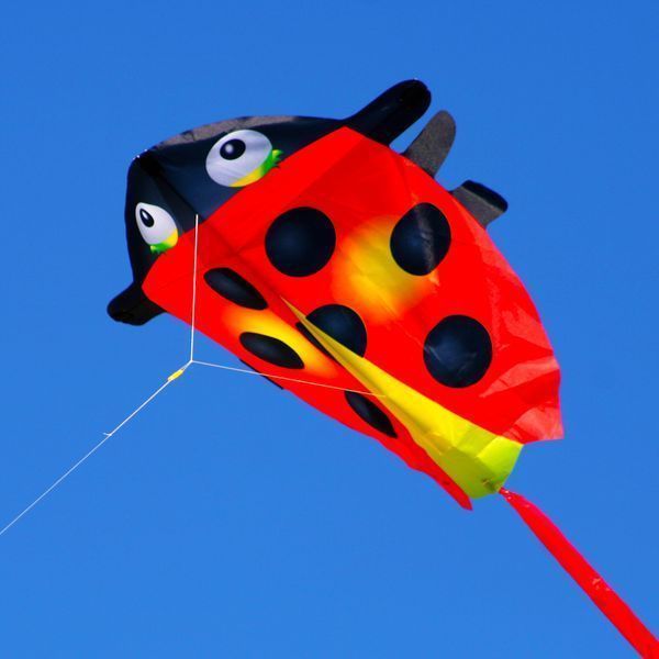 X-Kites Mini Nylon Kites Marienkäfer - Einleiner-Drachen/Kinderdrachen-/bilder/big/2180322_1.jpg