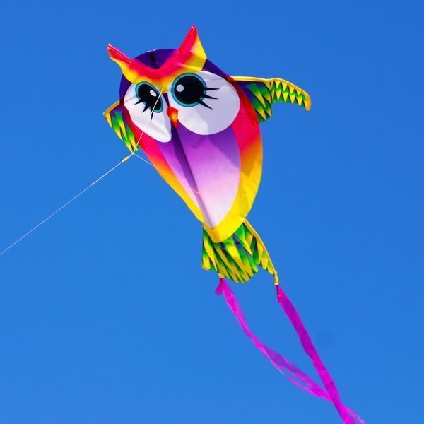 X-Kites Mini Nylon Kites Eule - Einleiner-Drachen/Kinderdrachen-/bilder/big/2180323_1.jpg