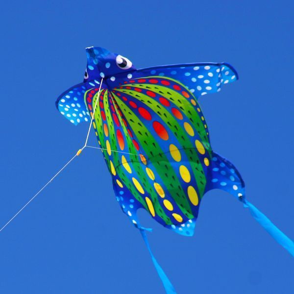 X-Kites Mini Nylon Kites Schildkröte - Einleiner-Drachen/Kinderdrachen-/bilder/big/2180324_1.jpg