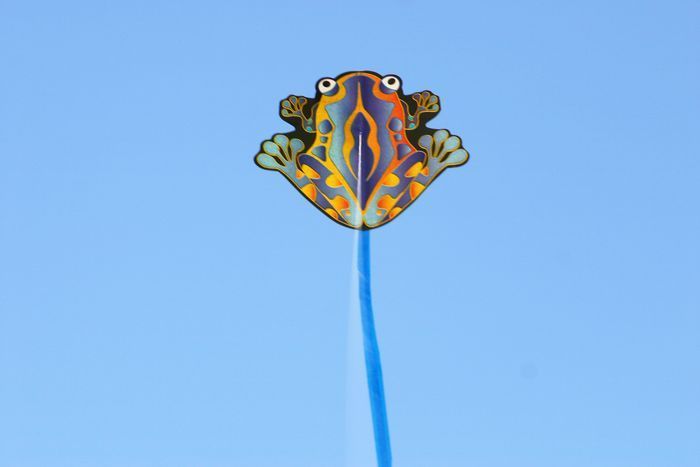 X-Kites Mini Micro Kites Frosch - Einleiner-Drachen/Kinderdrachen-/bilder/big/2181253_0_micro-frog.jpg