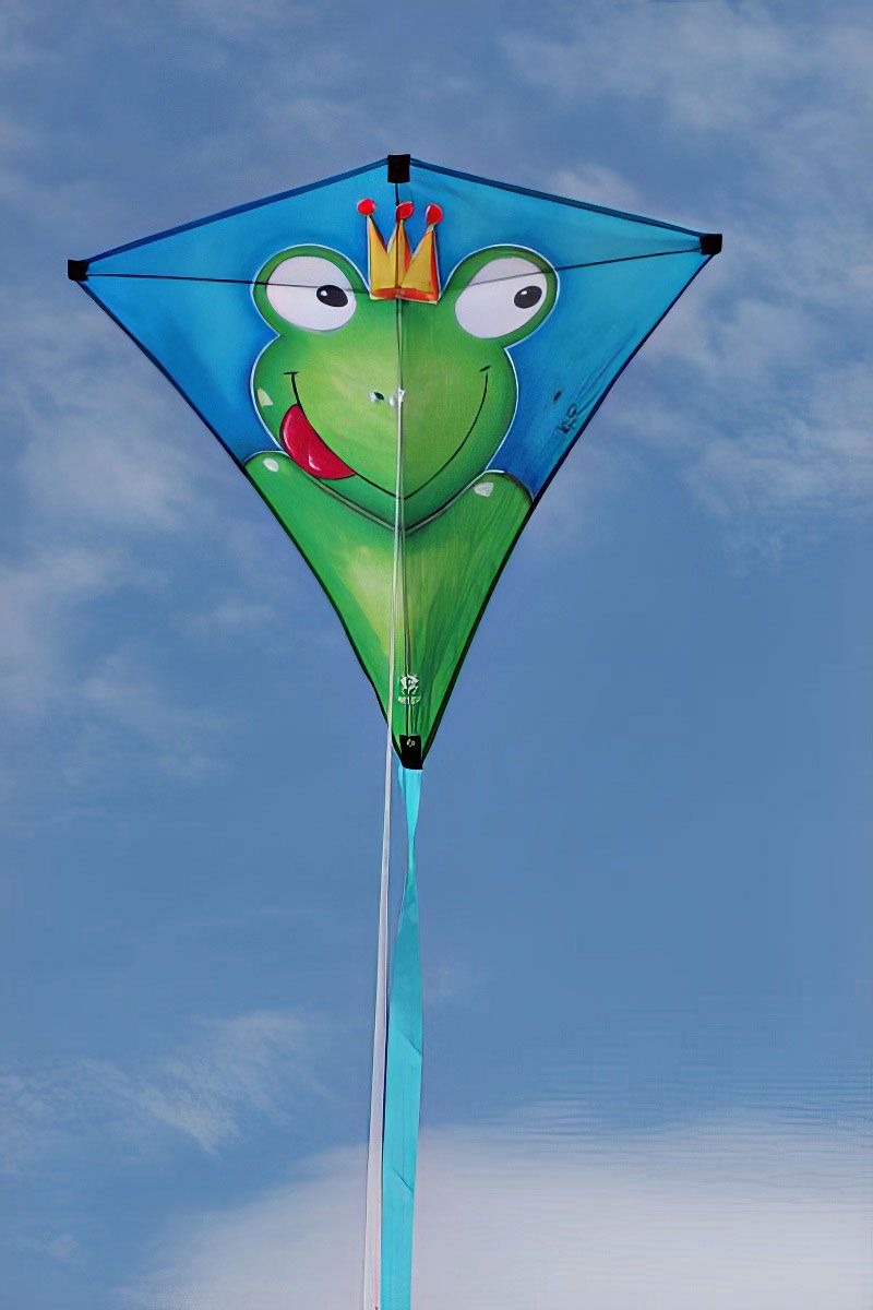 Elliot Franz Frosch by Heidi Perc Elliot Künstlerdrachen --/bilder/big/IMGP5798.jpg