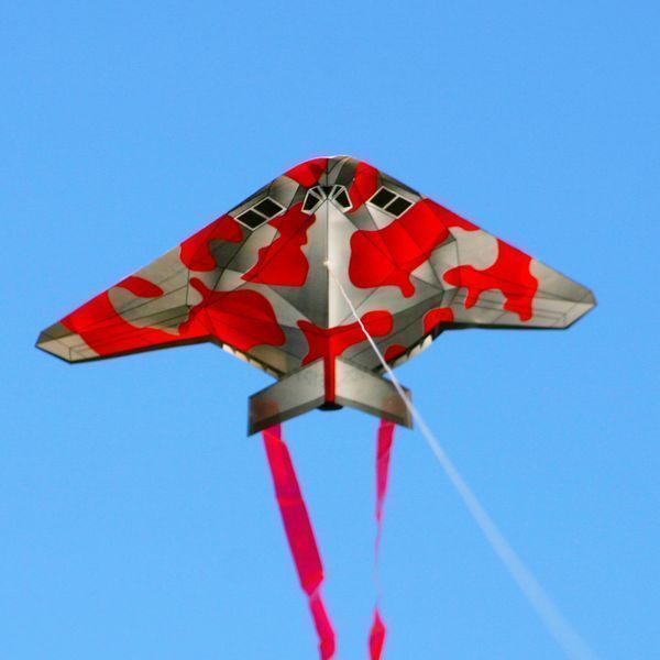 X-Kites Mini Micro Kites Tarnflieger Stealth - Einleiner-Drachen/Kinderdrachen (1-Leiner) rtf (flugfertig) 11 cm x 12 cm
