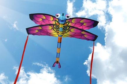 11111X-Kites SkyBugz Kites Libelle - Einleiner-Drachen/Kinderdrachen (1-Leiner) rtf (flugfertig) 111 cm x 110 cm bunt