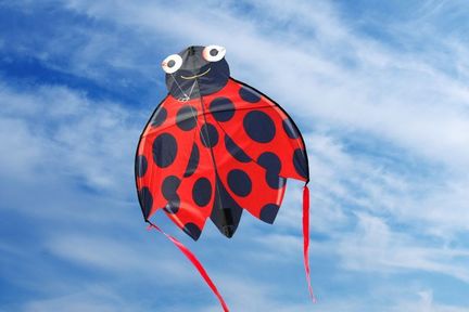 11111X-Kites SkyBugz Kites Marienkäfer - Einleiner-Drachen/Kinderdrachen (1-Leiner) rtf (flugfertig) 76 cm x 76 cm rot/schwarz