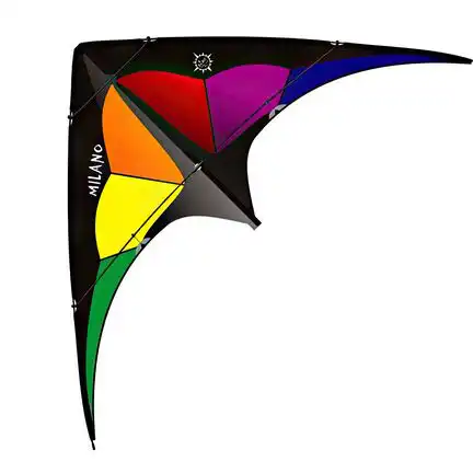 Elliot Milano - Zweileiner-Lenkdrachen/Stabdrachen (2-Leiner) rtf (flugfertig) 170 cm x 80 cm Cfk-Rohr 5 mm rainbow/schwarz