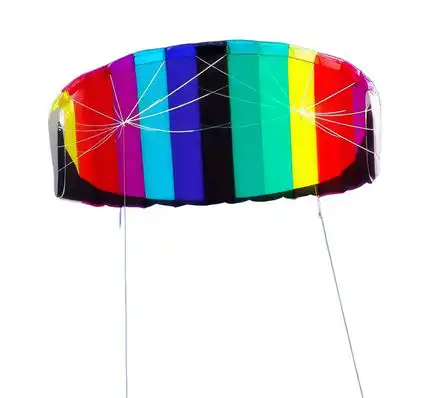 11111Elliot Sigma Fun 1.3  Zweileiner-Lenkdrachen (Lenkmatte/Parafoil/2-Leiner) rtf (flugfertig) 130 cm x 55 cm rainbow