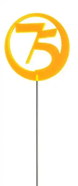 Elliot Lichtzauber - Sonnenfänger Sonnenfänger Lichtzauber - Jubiläumszahl/Jahreszahl ""75"" rot 6 cm 75 rot 6 cm inkl. 25 cm Stab