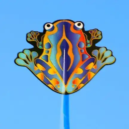 11111X-Kites Mini Micro Kites Frosch - Einleiner-Drachen/Kinderdrachen (1-Leiner) rtf (flugfertig) 10 cm x 13 cm blau/gelb