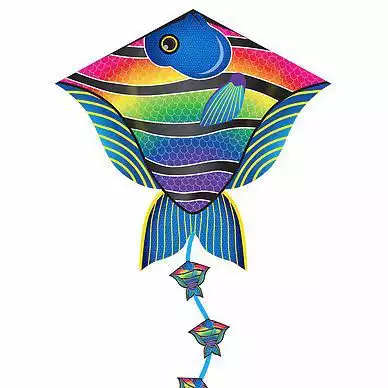 11111X-Kites DLX Diamond Reef Fisch - Einleiner-Drachen/Kinderdrachen (Eddy/1-Leiner) rtf (flugfertig) 76  cm x 73 cm bunt