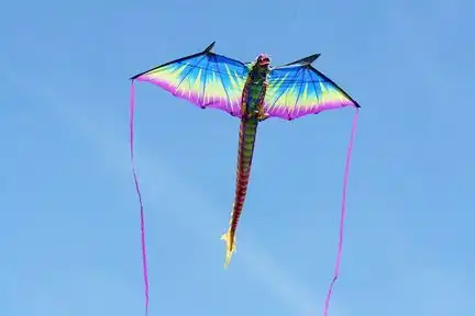 WindNSun Drache - 3D-Einleiner-Drachen/Kinderdrachen (1-Leiner) rtf (flugfertig) 180 cm x 67 cm Polyestertuch mit Druck Gfk-Gestänge blau/gelb/grün