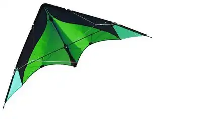 11111Elliot Delta Basic - Zweileiner-Lenkdrachen/Stabdrachen (2-Leiner) rtf (flugfertig) 117 cm x 59 cm Gfk-Vollstab 3 mm grün/schwarz