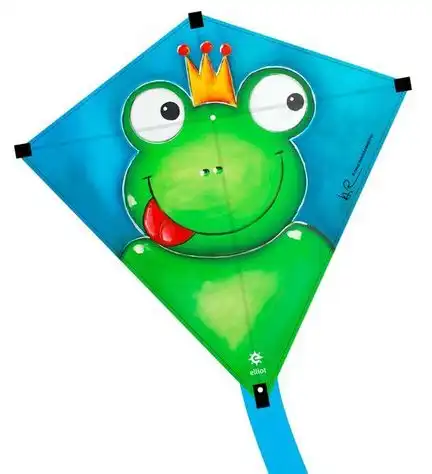 Elliot Franz Frosch by Heidi Perc Einleiner-Drachen/Kinderdrachen (Eddy/1-Leiner) rtf (flugfertig) 75 cm x 75 cm bunt