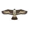 x_kites_birdsofprey_falcon_8-43258-80892-5.jpg