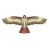 x_kites_birdsofprey_hawk_8-43258-80893-2.jpg