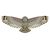 x_kites_birdsofprey_owl_8-43258-80894-9.jpg