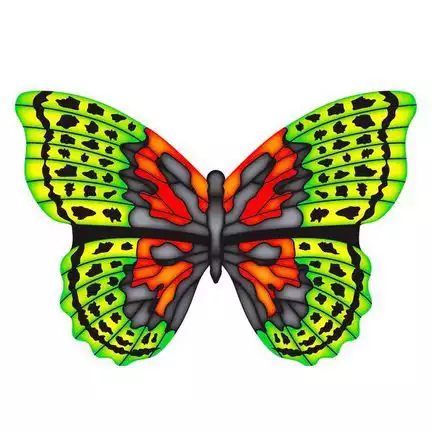 X-Kites Mini Mylar Kites Schmetterling - Einleiner-Drachen/Kinderdrachen (1-Leiner) rtf (flugfertig) 10 cm x 10 cm grün